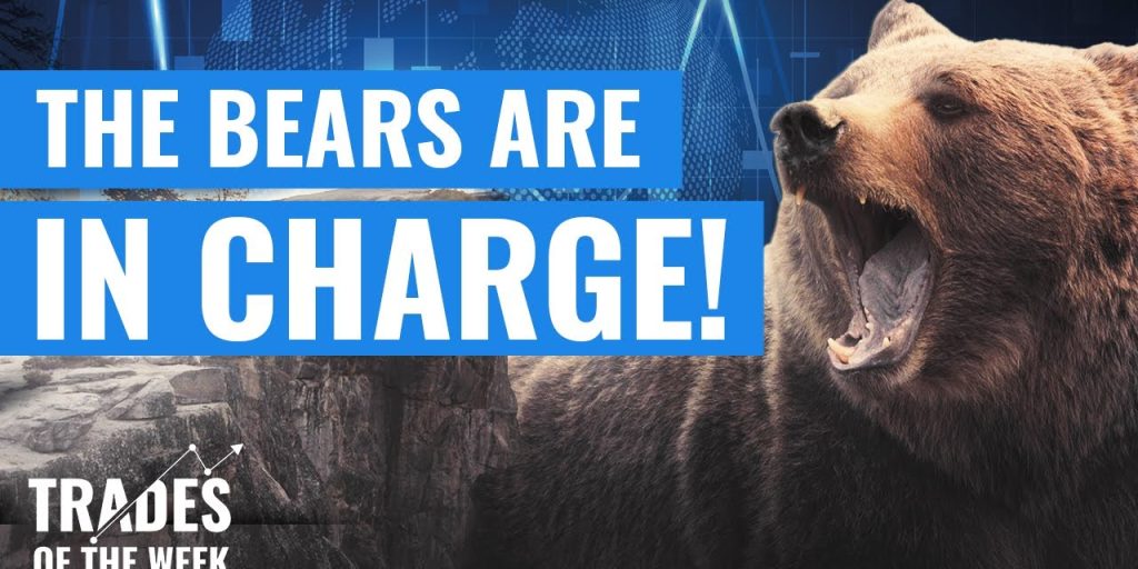 How to prepare for the bear markets